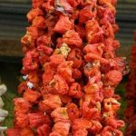 Dolmalık Kuru Biber 1 BAĞ (50 adet)