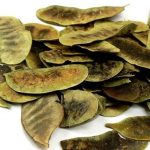 Açlık Devegözü Otu